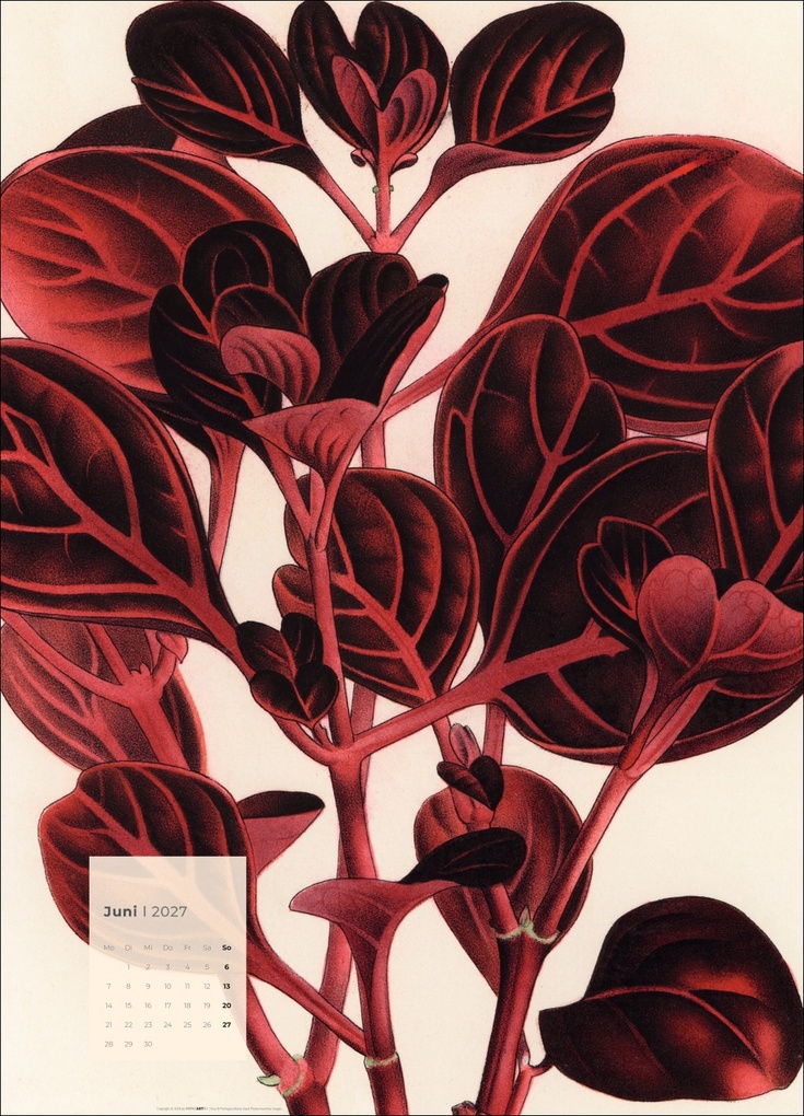 Weitere Ansicht: Botanicals Kalender 2027