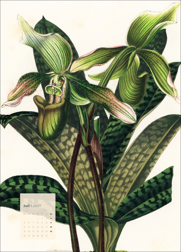 Weitere Ansicht: Botanicals Kalender 2027