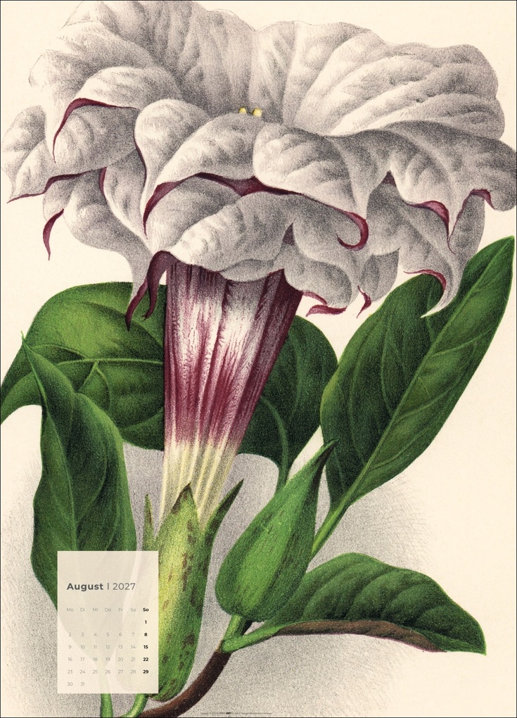 Weitere Ansicht: Botanicals Kalender 2027