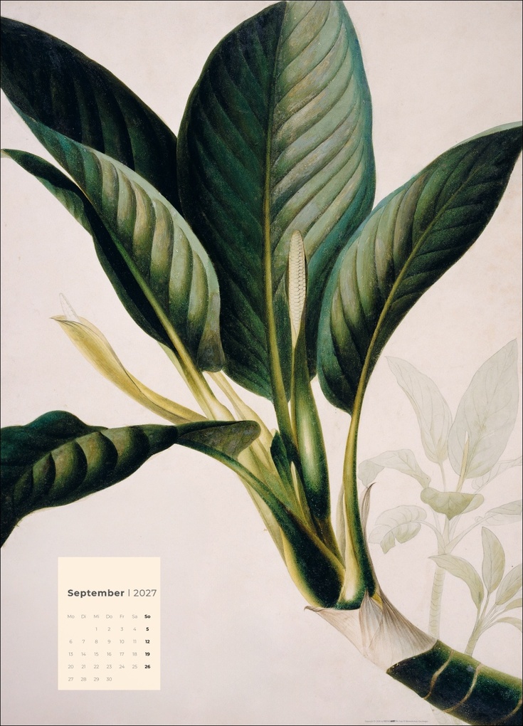 Weitere Ansicht: Botanicals Kalender 2027