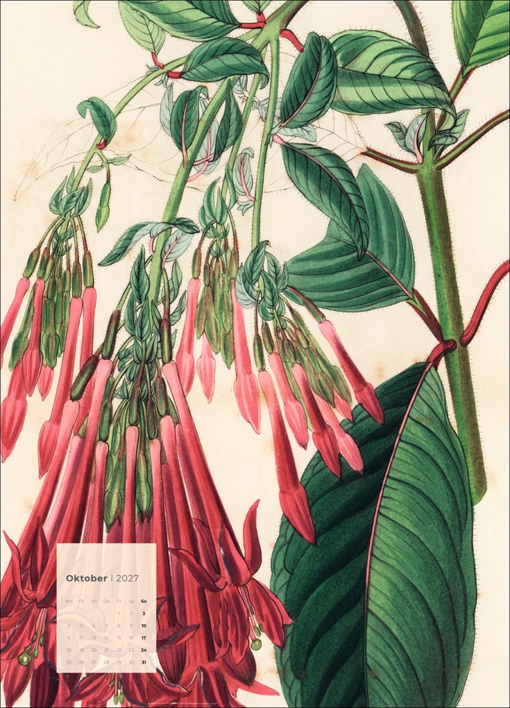 Weitere Ansicht: Botanicals Kalender 2027