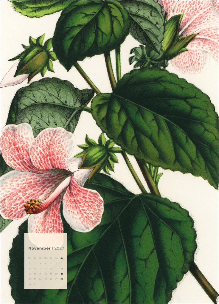 Weitere Ansicht: Botanicals Kalender 2027