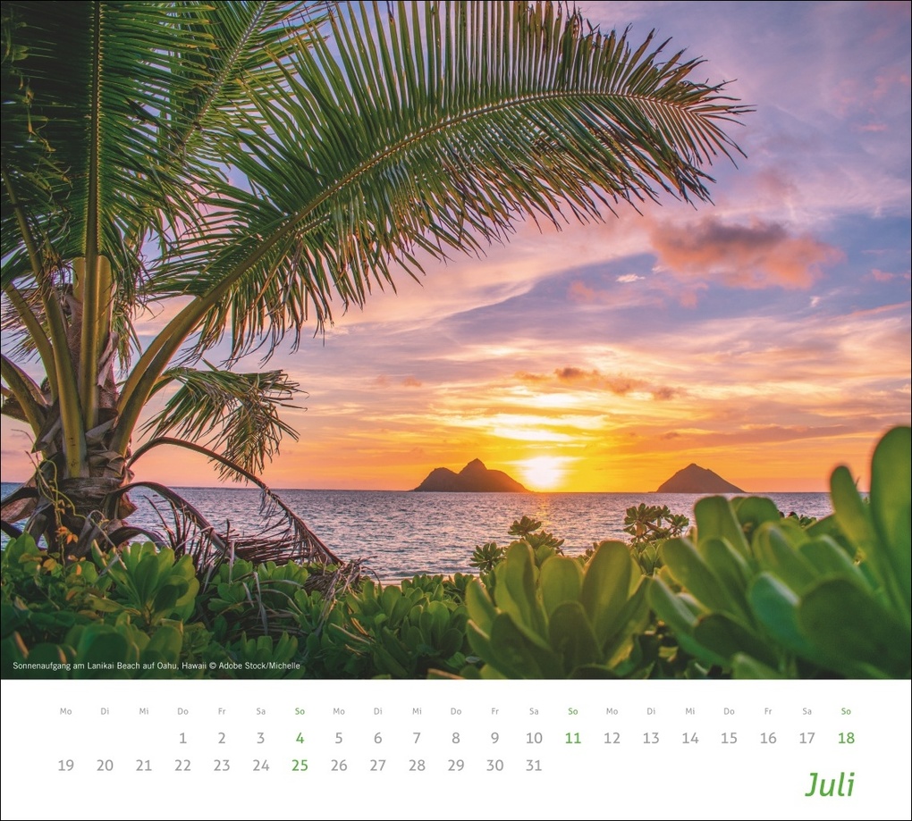 Weitere Ansicht: times&more Sonnige Momente Bildkalender 2027