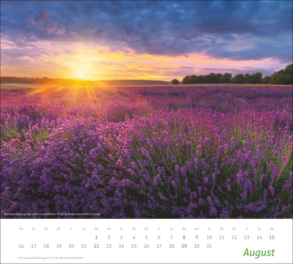 Weitere Ansicht: times&more Sonnige Momente Bildkalender 2027
