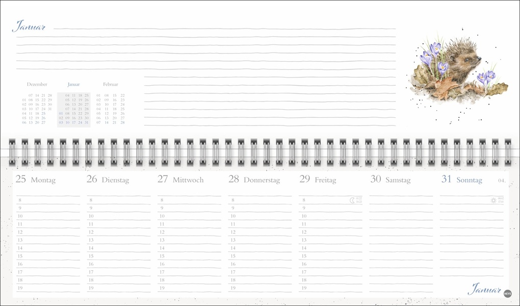 Weitere Ansicht: Hannah Dale : Wochenquerplaner 2027 | Hannah Dale