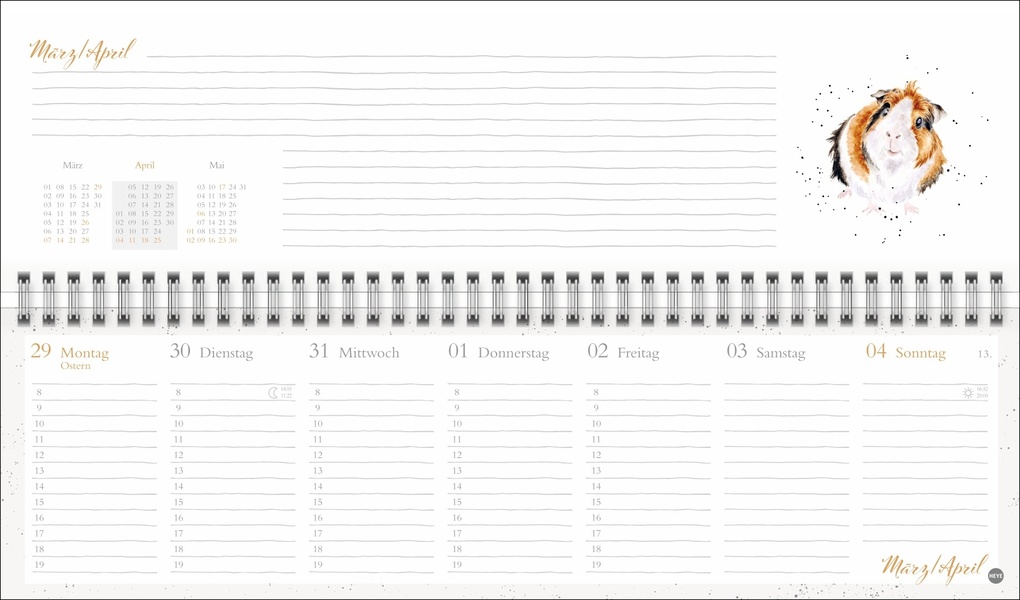 Weitere Ansicht: Hannah Dale : Wochenquerplaner 2027 | Hannah Dale