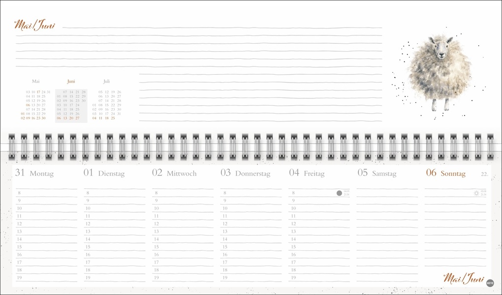 Weitere Ansicht: Hannah Dale : Wochenquerplaner 2027 | Hannah Dale