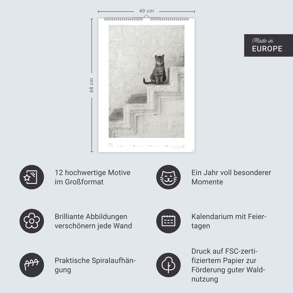 Weitere Ansicht: Cats Edition Kalender 2027
