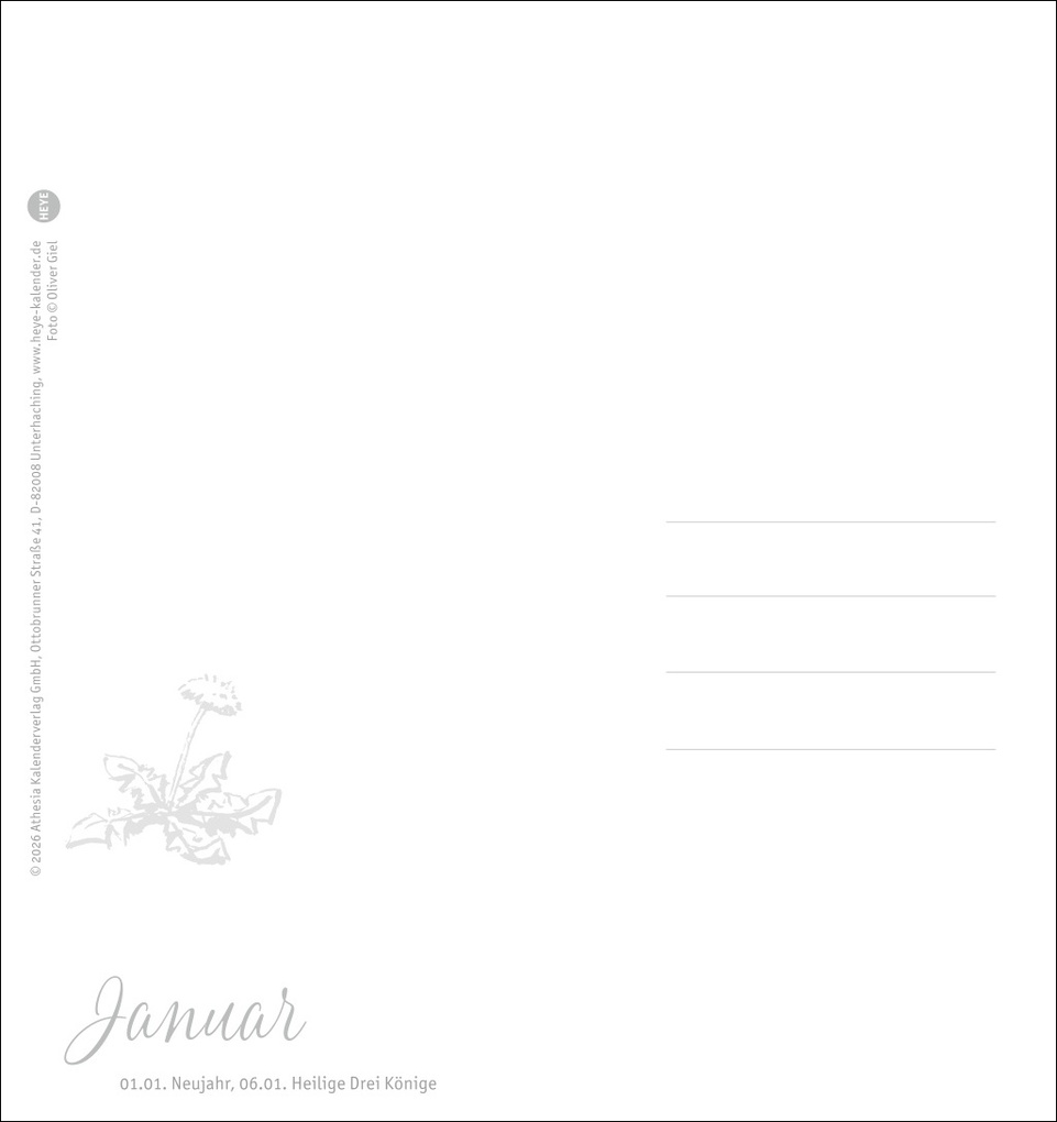 Weitere Ansicht: Kuschelige Meerschweinchen Postkartenkalender 2027