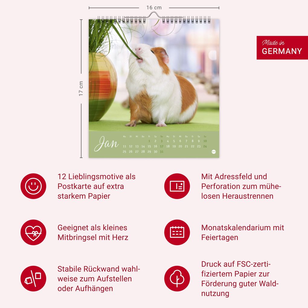 Weitere Ansicht: Kuschelige Meerschweinchen Postkartenkalender 2027