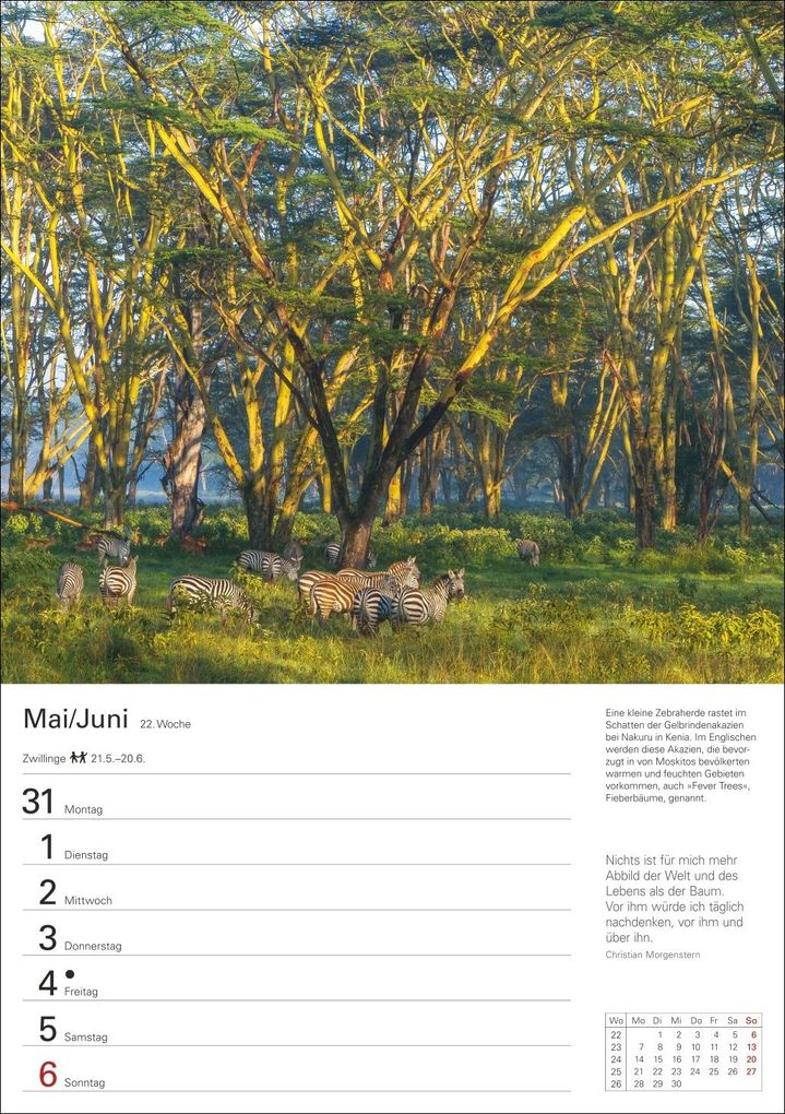 Weitere Ansicht: Naturschätze Afrikas Wochenplaner 2027 - Eine Reise in 53 Bildern | Ulrike Issel