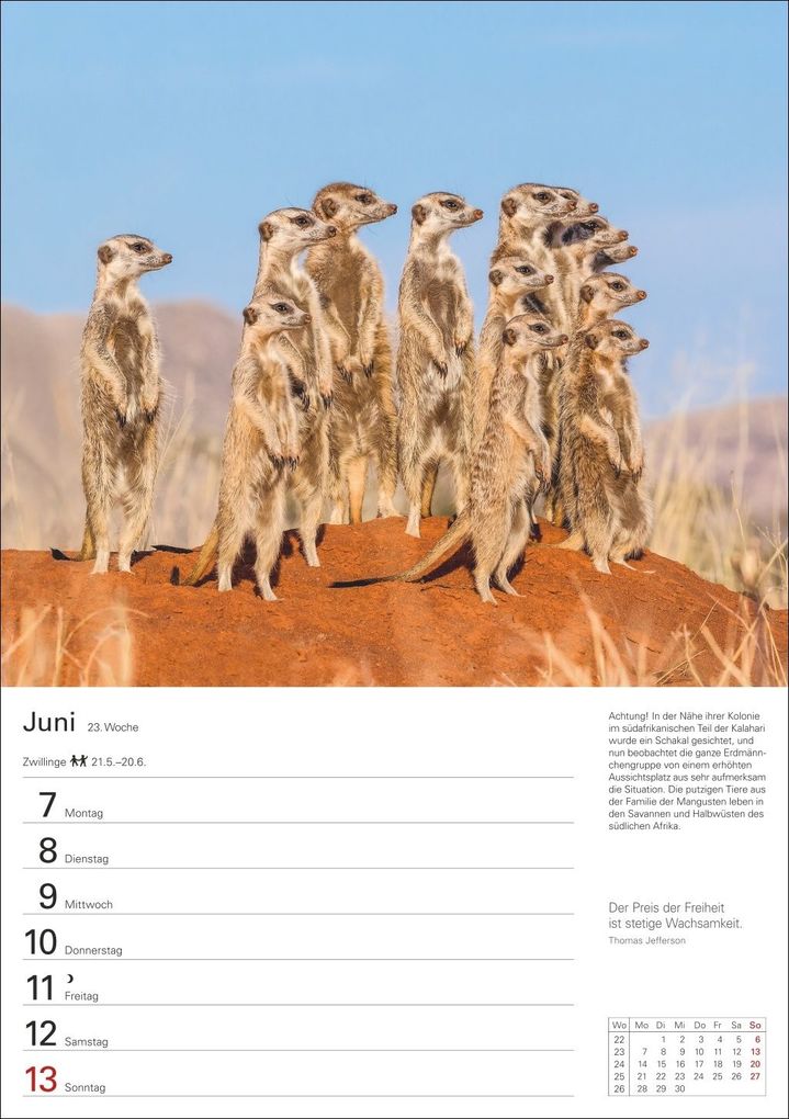 Weitere Ansicht: Naturschätze Afrikas Wochenplaner 2027 - Eine Reise in 53 Bildern | Ulrike Issel