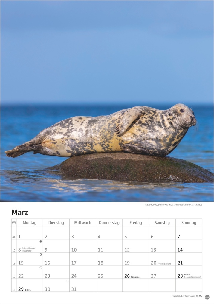 Weitere Ansicht: Deutschlands Küsten Kalender 2027