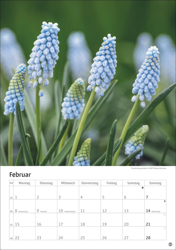 Weitere Ansicht: Gartenzauber Kalender 2027