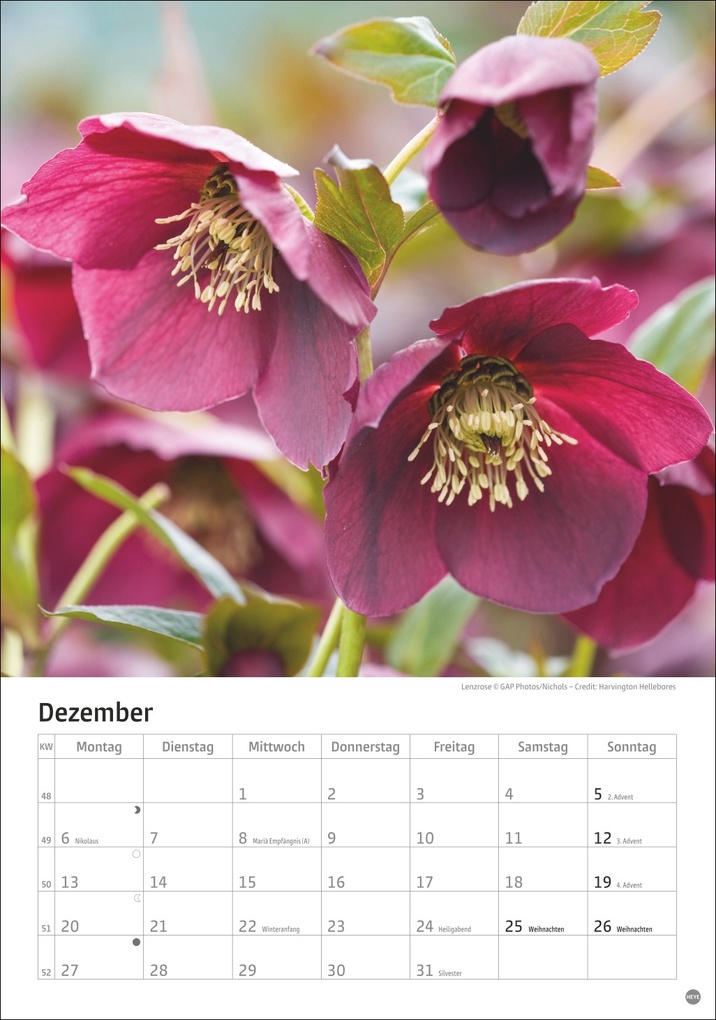 Weitere Ansicht: Gartenzauber Kalender 2027