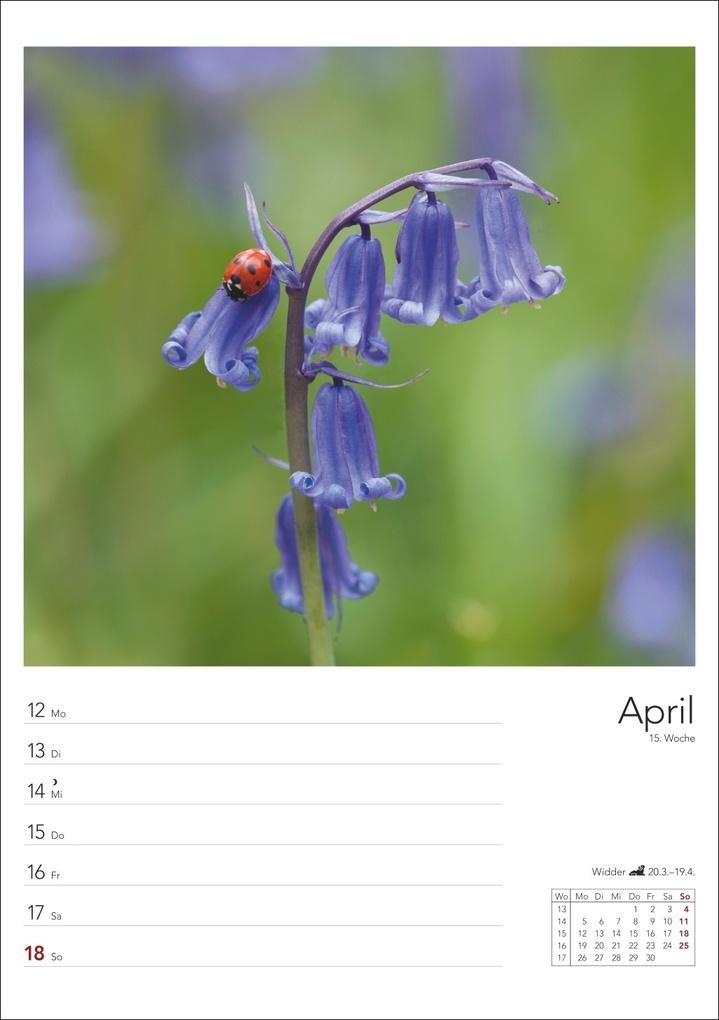 Weitere Ansicht: Landleben Wochenplaner 2027