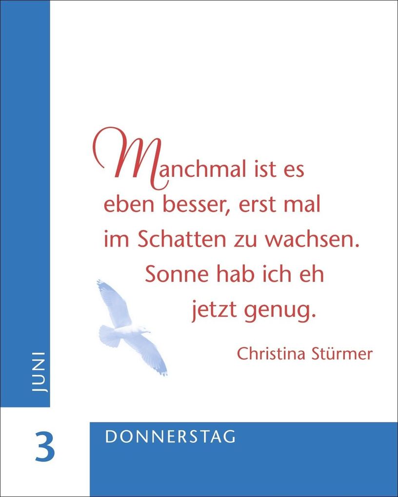 Weitere Ansicht: Ein Jahr der Zuversicht Mini-Geschenkkalender 2027 | Julia Linne