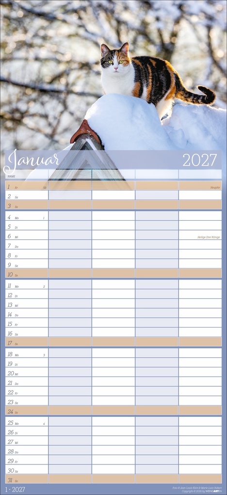 Weitere Ansicht: Cool Cats Familienplaner 2027