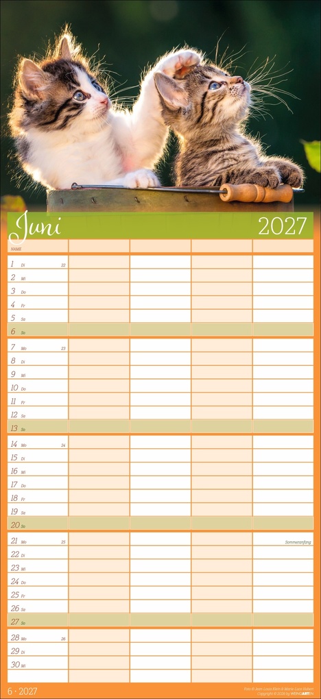 Weitere Ansicht: Cool Cats Familienplaner 2027