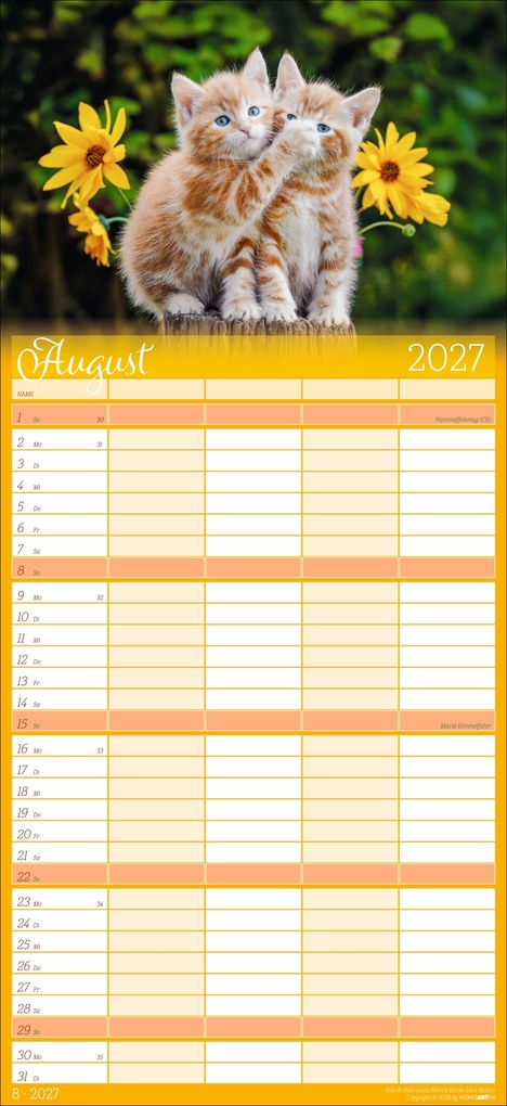 Weitere Ansicht: Cool Cats Familienplaner 2027