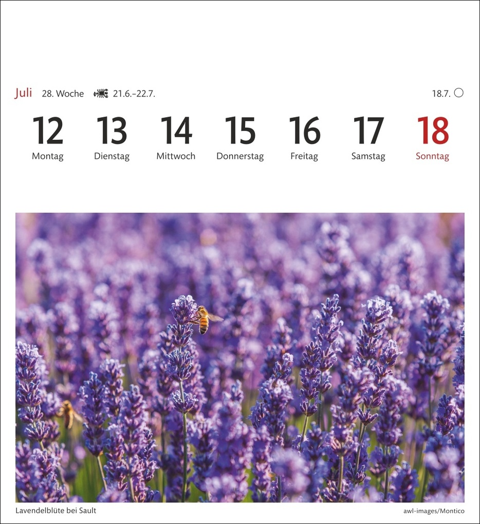 Weitere Ansicht: Provence Sehnsuchtskalender 2027 - Wochenkalender mit 53 Postkarten