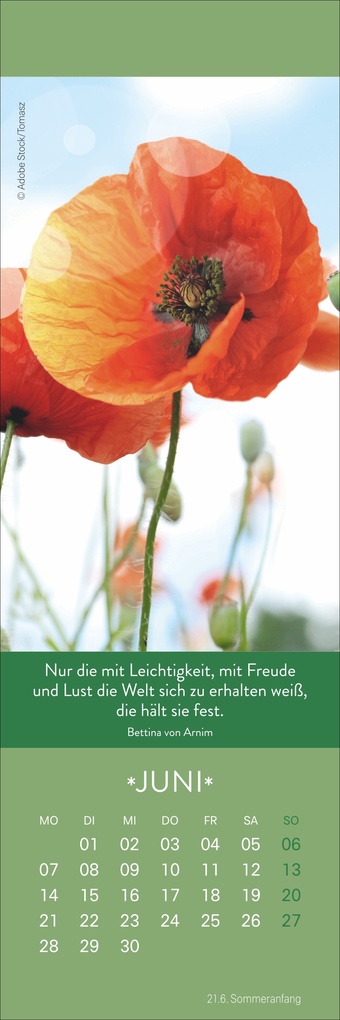 Weitere Ansicht: Gute Gedanken Lesezeichen & Kalender 2027