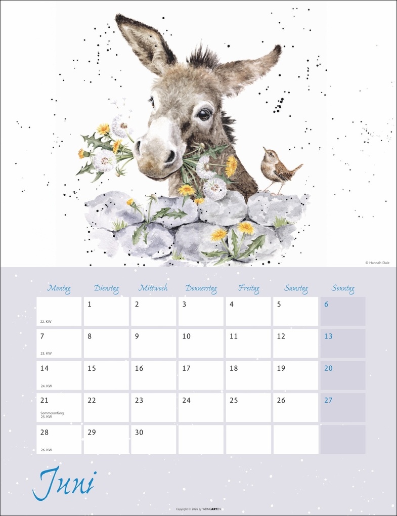 Weitere Ansicht: Country Life Kalender 2027 | Hannah Dale