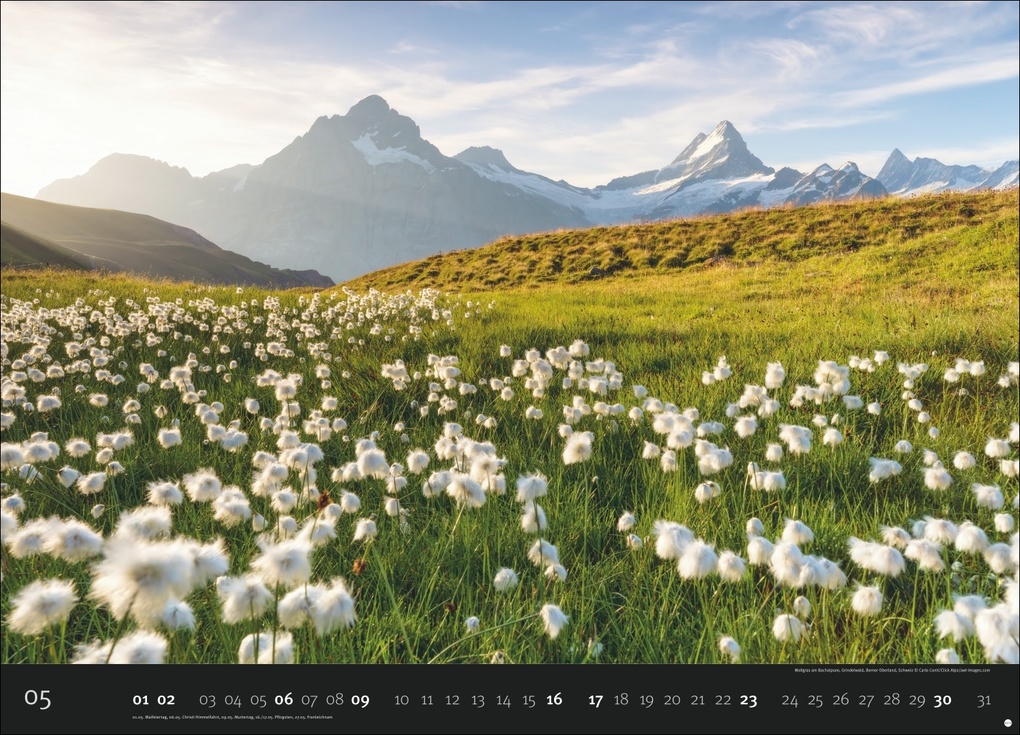 Weitere Ansicht: Landscapes Edition Kalender 2027 - Edition Alexander von Humboldt Kalender 2027
