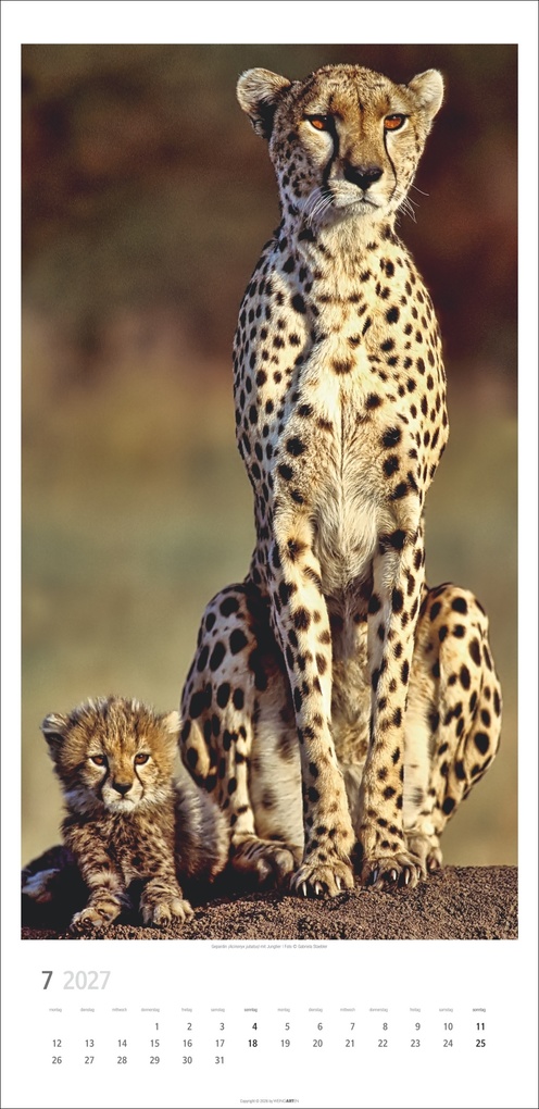 Weitere Ansicht: Big Cats Kalender 2027