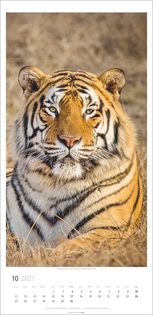 Weitere Ansicht: Big Cats Kalender 2027