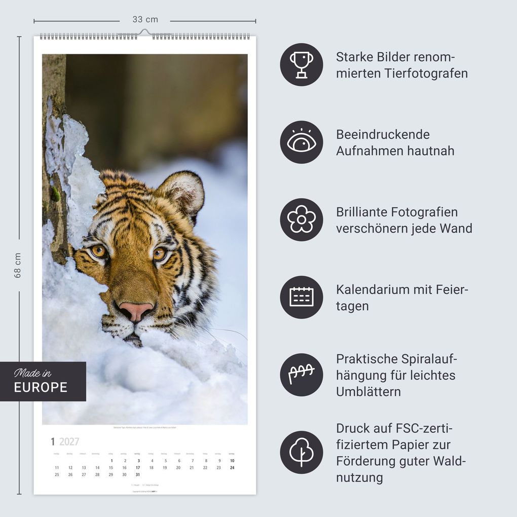 Weitere Ansicht: Big Cats Kalender 2027