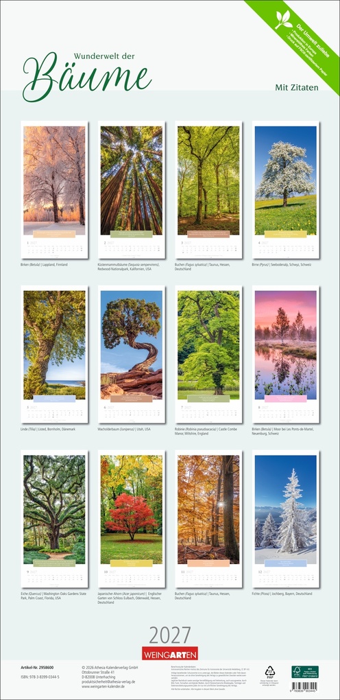 Weitere Ansicht: Wunderwelt der Bäume Kalender 2027