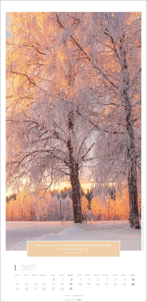 Weitere Ansicht: Wunderwelt der Bäume Kalender 2027