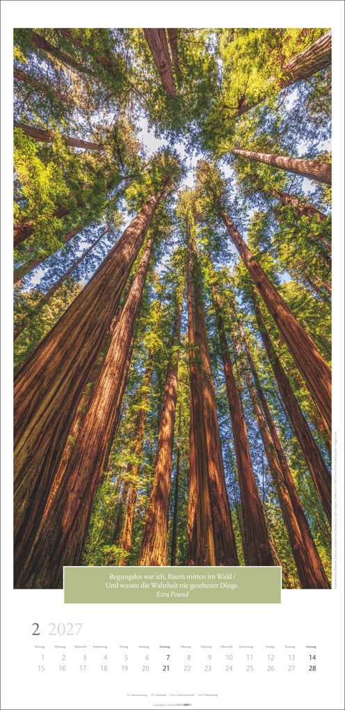 Weitere Ansicht: Wunderwelt der Bäume Kalender 2027