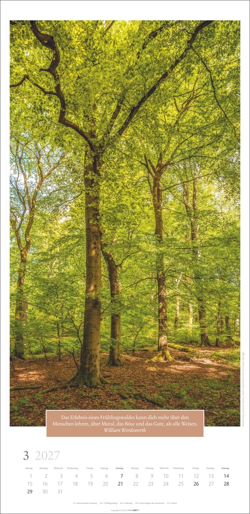 Weitere Ansicht: Wunderwelt der Bäume Kalender 2027