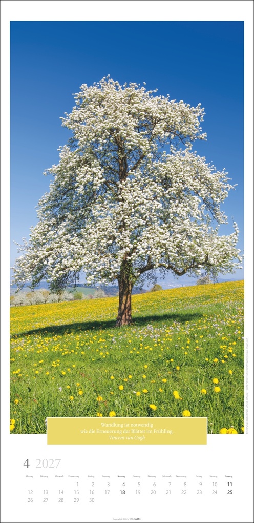 Weitere Ansicht: Wunderwelt der Bäume Kalender 2027