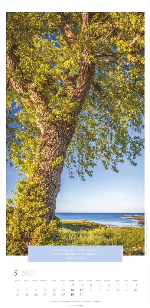 Weitere Ansicht: Wunderwelt der Bäume Kalender 2027