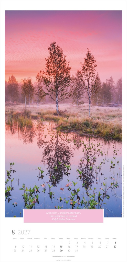 Weitere Ansicht: Wunderwelt der Bäume Kalender 2027