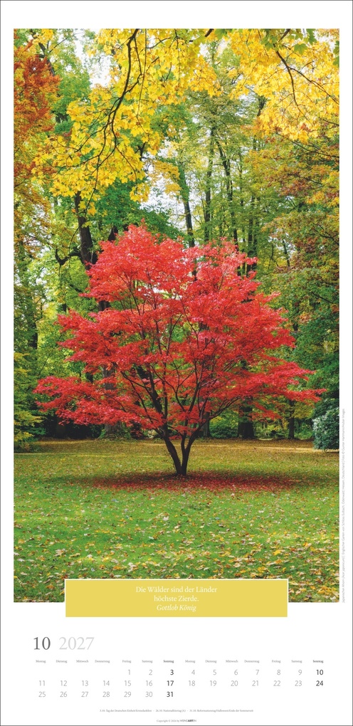 Weitere Ansicht: Wunderwelt der Bäume Kalender 2027