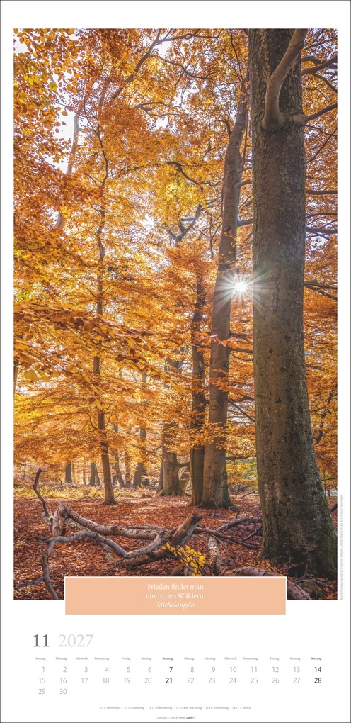 Weitere Ansicht: Wunderwelt der Bäume Kalender 2027