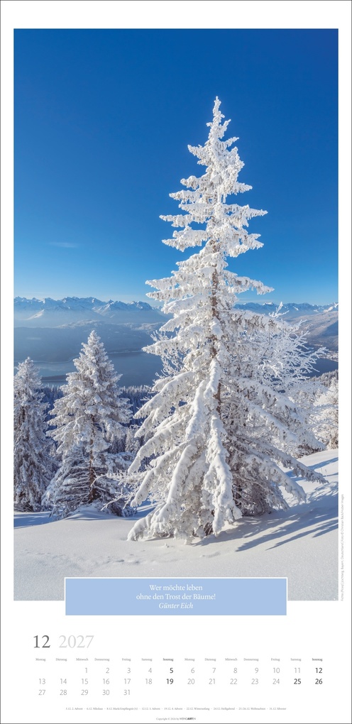 Weitere Ansicht: Wunderwelt der Bäume Kalender 2027