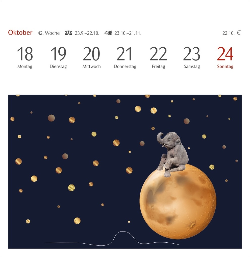 Weitere Ansicht: Welches Buch bin ich? Premium-Postkartenkalender 2027 - Literarischer Rätselkalender | Stefan Heine