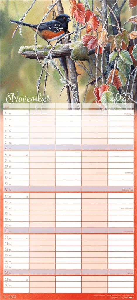 Weitere Ansicht: Bunte Vogelwelt Familienplaner 2027 | Susan Bourdet