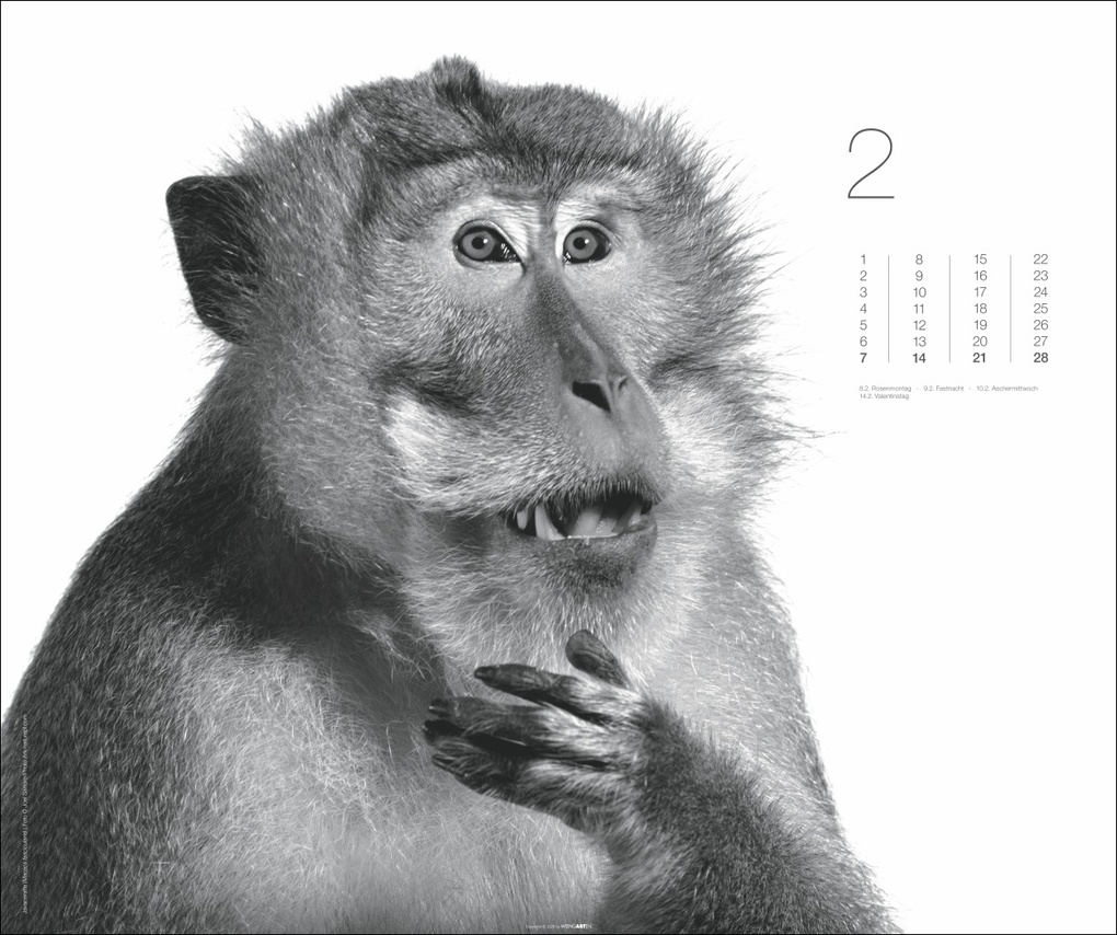 Weitere Ansicht: Black & White Animals 2027