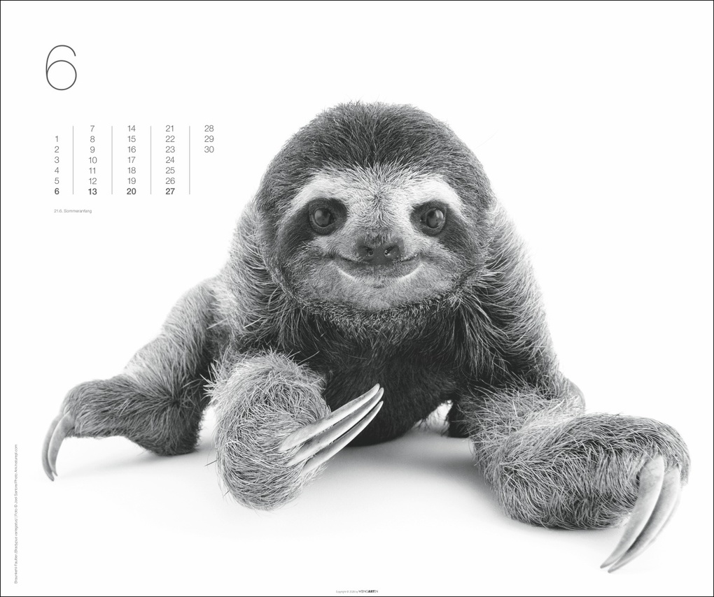 Weitere Ansicht: Black & White Animals 2027