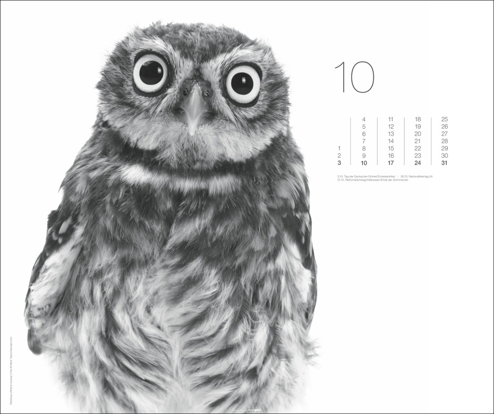 Weitere Ansicht: Black & White Animals 2027