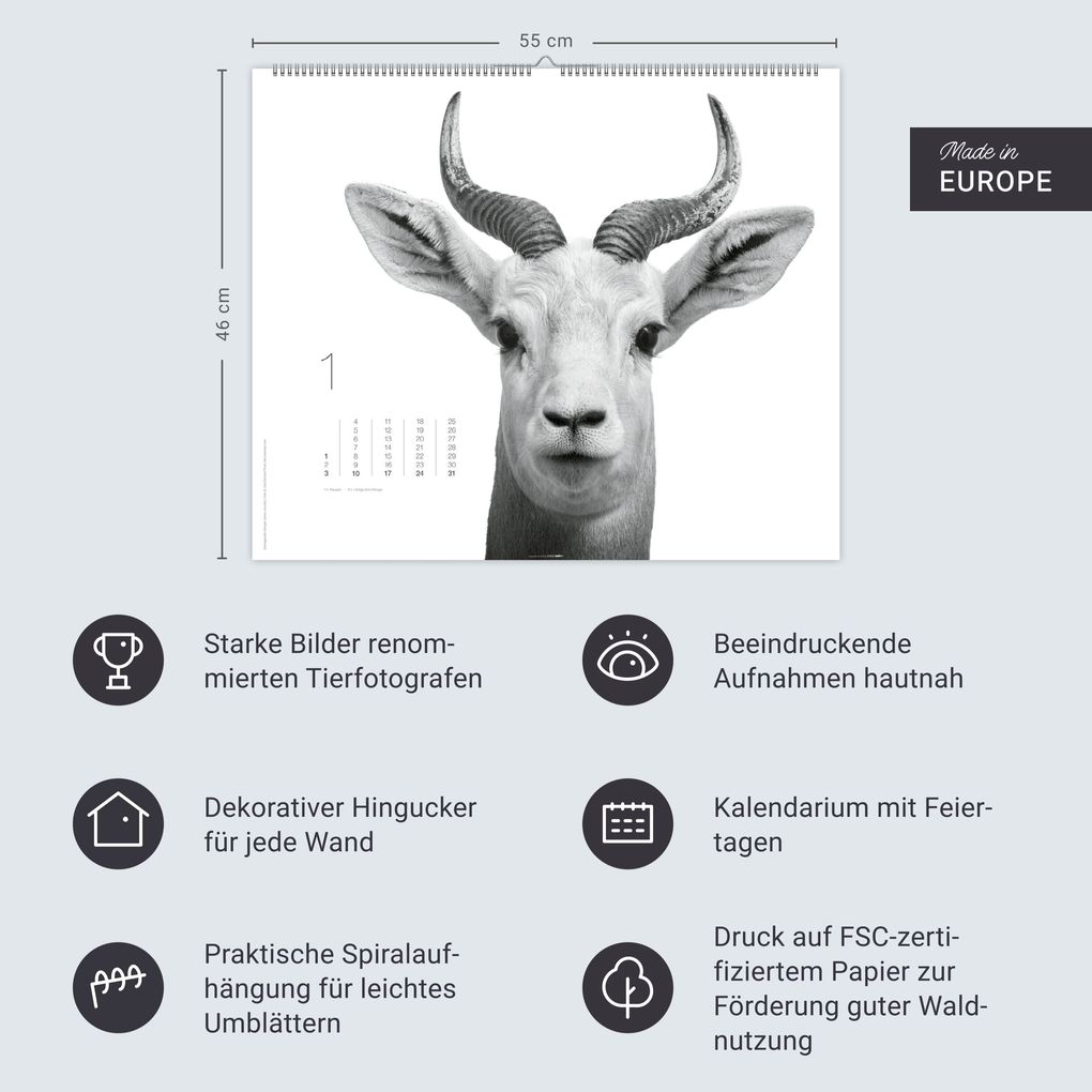 Weitere Ansicht: Black & White Animals 2027