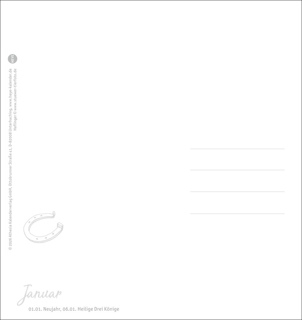 Weitere Ansicht: Pferde Postkartenkalender 2027 - Starke Freunde