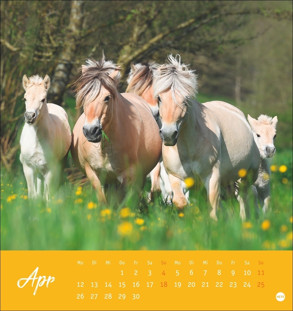 Weitere Ansicht: Pferde Postkartenkalender 2027 - Starke Freunde