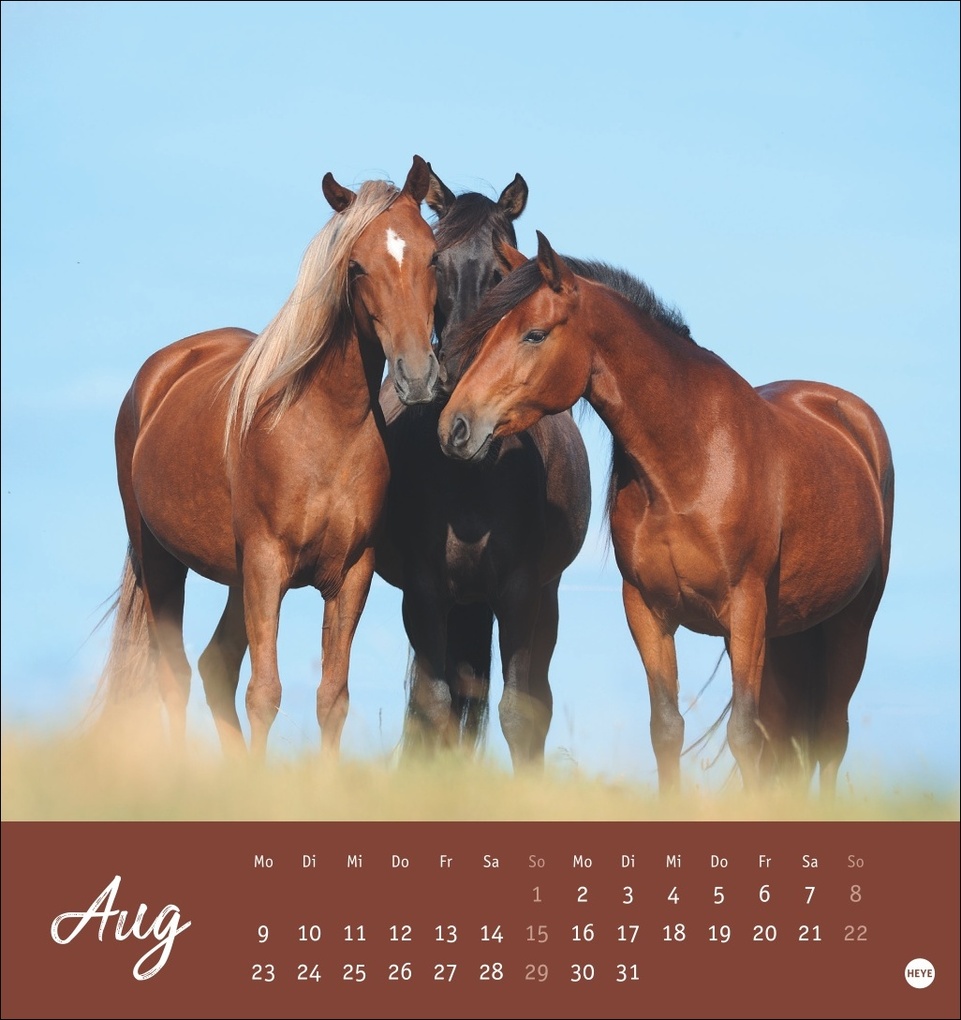Weitere Ansicht: Pferde Postkartenkalender 2027 - Starke Freunde
